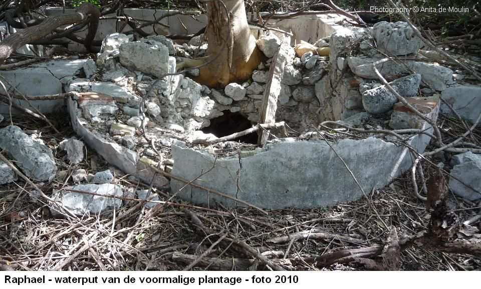 46. Raphael waterput 2010